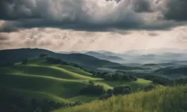 1216x832 05 03 00 41 125242720 265x160