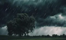 1216x832 12 17 46 11 42559339 265x160
