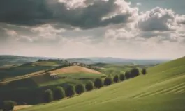 1216x832 16 09 15 39 56024995 265x160