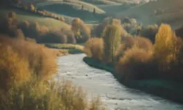 1216x832 20 09 45 37 732760229 265x160