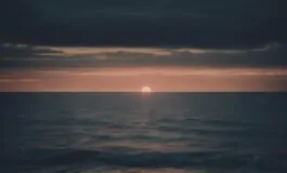 1216x832 23 10 30 51 468256754 265x160