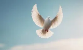 1216x832 24 18 15 44 827324492 265x160