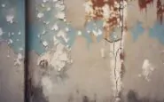 1216x832 15 17 30 43 284486285