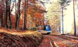 archivio fotografico ferrovia vigezzina centovalli autumn 5 265x160