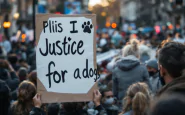 Manifestazione per il cane Blanco maltrattato