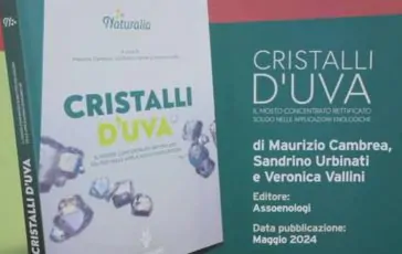 featured 2110390 364x230