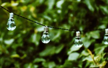 lightbulb 4379275 1280 364x230
