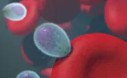 national institute of allergy and infectious diseases ykv2gm43qfc unsplash
