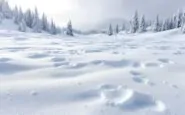 Immagine di tempeste polari in arrivo per Natale 2023