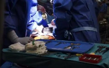 featured 2119905 364x230