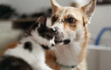 featured 2129904 364x230