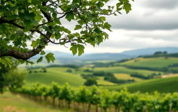Immagine di venti di grecale che colpiscono la Toscana