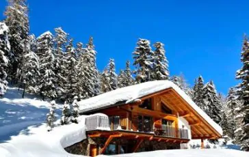 featured 2141474 364x230