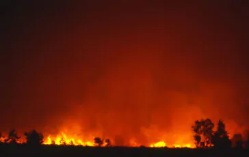 Bianca Balti sulle cure e l'incendio a Los Angeles