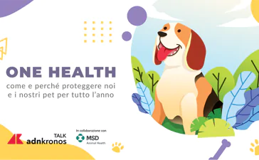 featured 2144906 364x225