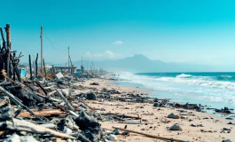 Immagine di stabilimenti distrutti da incendi a Ostia