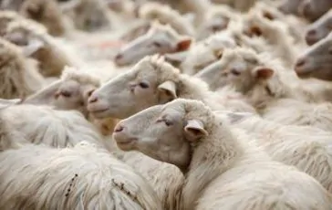 featured 2158110 364x230