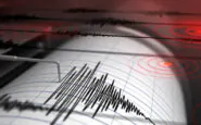 terremoto tonga