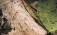 image 8e63d7f7 61c1 4eb2 9d02 1d3b2ce67a60