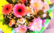 Festa della Donna origini 8 marzo