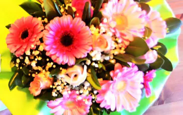 Festa della Donna origini 8 marzo