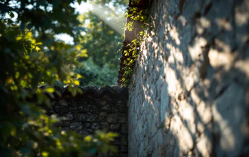 Papa Francesco in convalescenza, aggiornamenti e prospettive