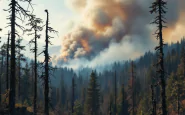 Incendio devastante in Val Venosta con fiamme e fumi