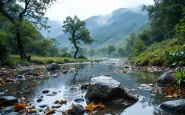 Immagine di danni causati dal maltempo in Piemonte
