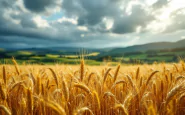 Immagine che rappresenta il maltempo e il calo delle temperature