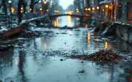 Immagine della piena del fiume Po a Cremona