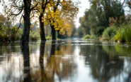Immagine della piena del fiume Po in Emilia-Romagna