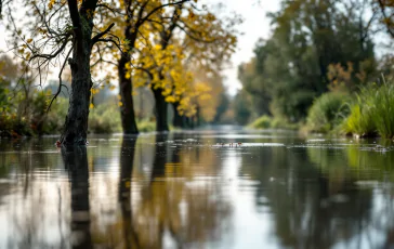 Immagine della piena del fiume Po in Emilia-Romagna