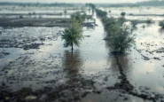 Immagine della piena del Po tra Cremona e Reggio Emilia