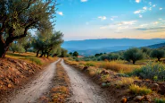 Sequestro di 800 chili di latticini in Sicilia