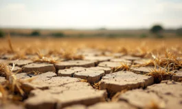Immagine della siccità in Sicilia con campi aridi