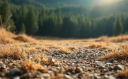 Immagine della strage di Fidene e della condanna di Campiti