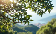 Cerimonia commemorativa per le vittime della funivia a Castellammare
