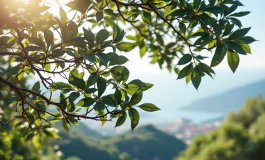 Cerimonia commemorativa per le vittime della funivia a Castellammare