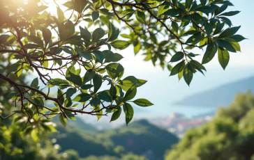 Cerimonia commemorativa per le vittime della funivia a Castellammare