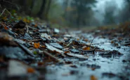 Volontaria ingannata da truffatori durante alluvione