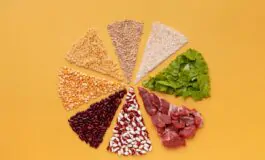 cibo 265x160