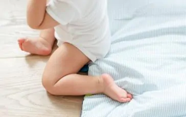 featured 2162450 364x230