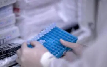 featured 2162482 364x230