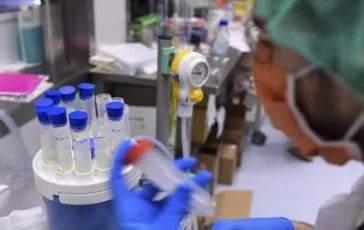 featured 2166529 364x230