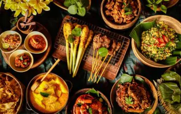 cibo congelato bassetti