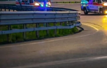 F1 Alonso, volante