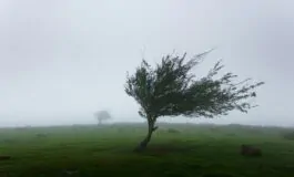 meteo italia previsioni