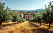 Cinghiali che danneggiano un campo in Puglia