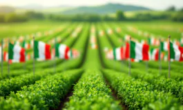 Soldati dell'Esercito Italiano in azione per la sicurezza