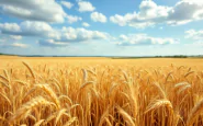 Immagine che rappresenta frodi nei fondi europei agricoli